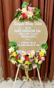 Ulang tahun Mamberamo Raya